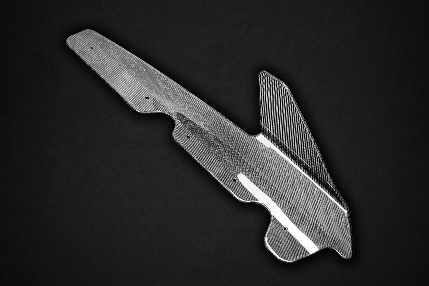 
                  
                    Audi R8 (Gen2) Facelift - Carbon Side Fins
                  
                