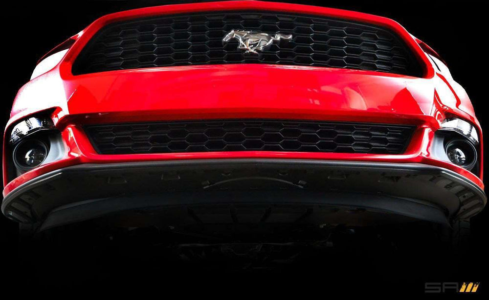
                  
                    Scrape Armor Bumper Protection - Ford Mustang 2015-2017
                  
                