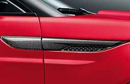 Genuine LR Evoque Carbon Wing Vents